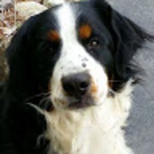 Meet your Posher, Lexie